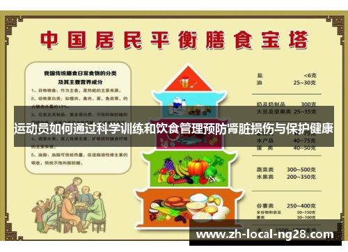 运动员如何通过科学训练和饮食管理预防肾脏损伤与保护健康
