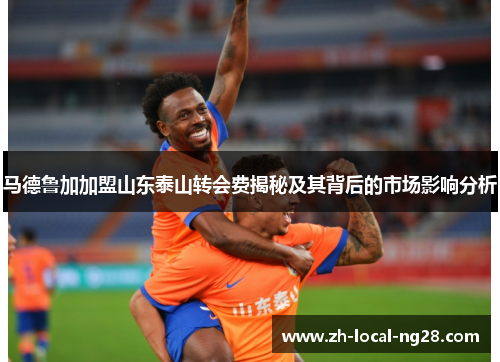 马德鲁加加盟山东泰山转会费揭秘及其背后的市场影响分析