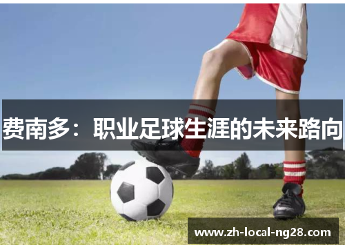 费南多：职业足球生涯的未来路向